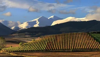 Barcelo Montecastillo 5* — GENOEG TE DOEN!